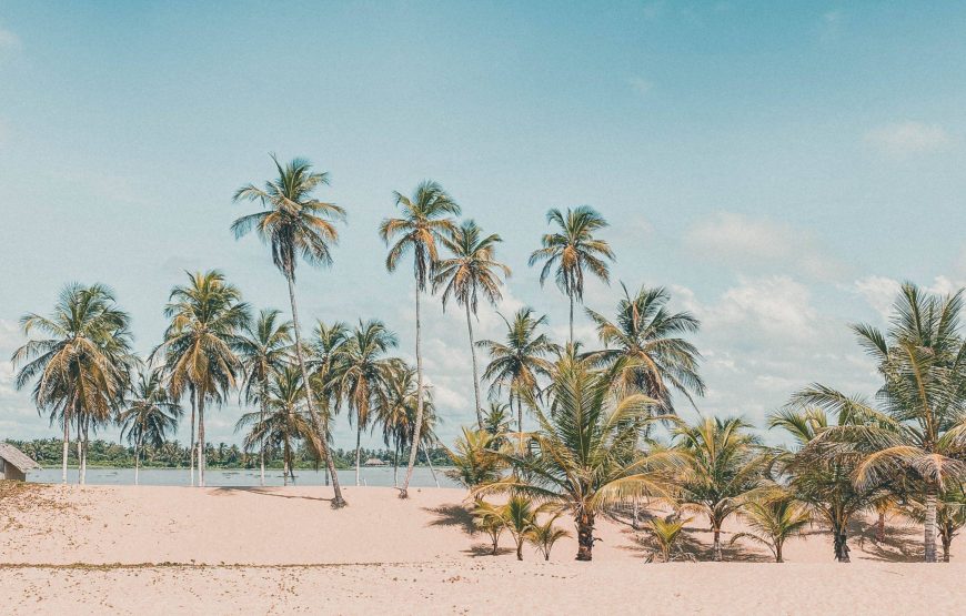 L&rsquo;essentiel de la Côte d&rsquo;ivoire – 8 Jours et 7 Nuits – Tout inclus