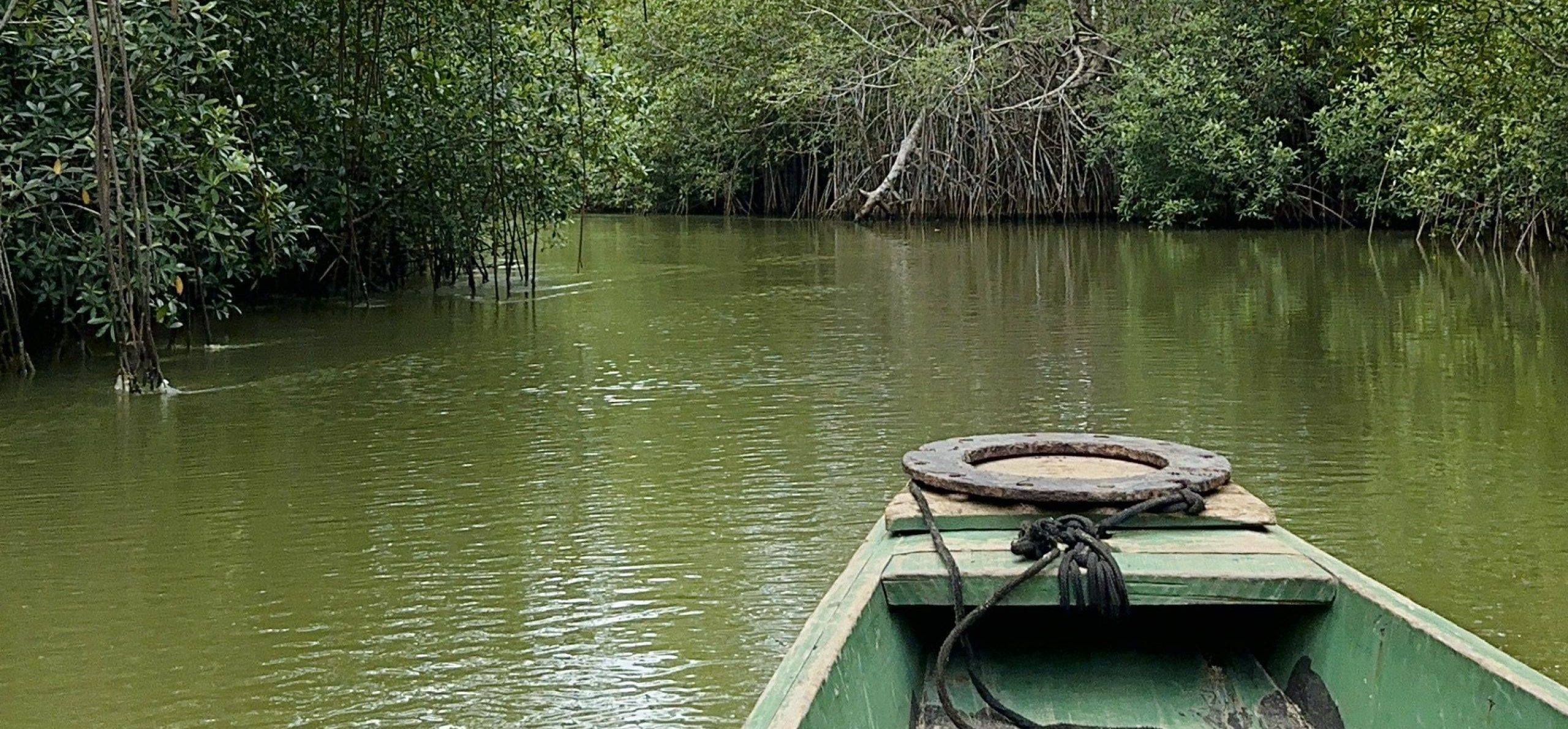 JOUR 7 : Assinie, des Îles Ehotilés à l' embouchure